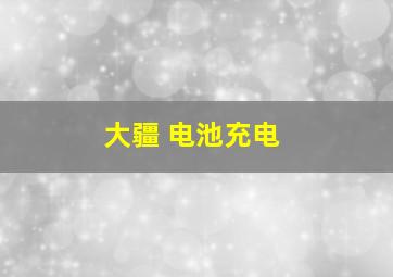 大疆 电池充电